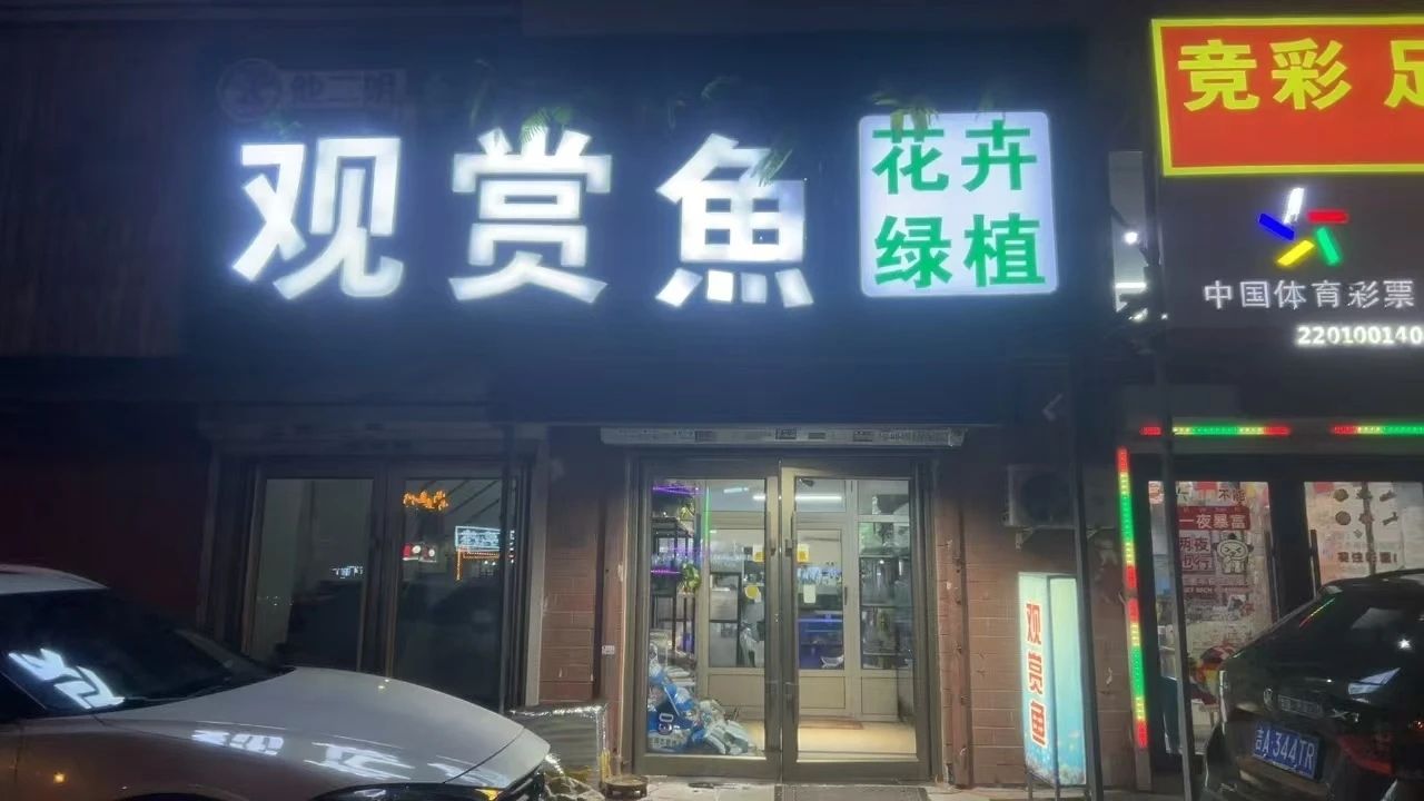 東北二姐的情懷（轉載）