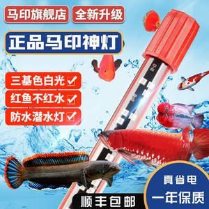馬印燈放在水族箱的哪個位置：馬印燈放在水族箱的最佳放置位置取決于用戶的需求和實際情況 馬印燈放在水族箱的哪個位置：馬印燈放在水族箱的最佳放置位置取決于用戶的需求和實際情況 馬印水族 第4張
