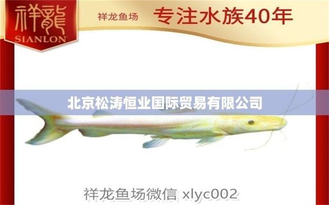 祥龍水族館客戶滿意度調查（祥龍水族館客戶滿意度調查研究）