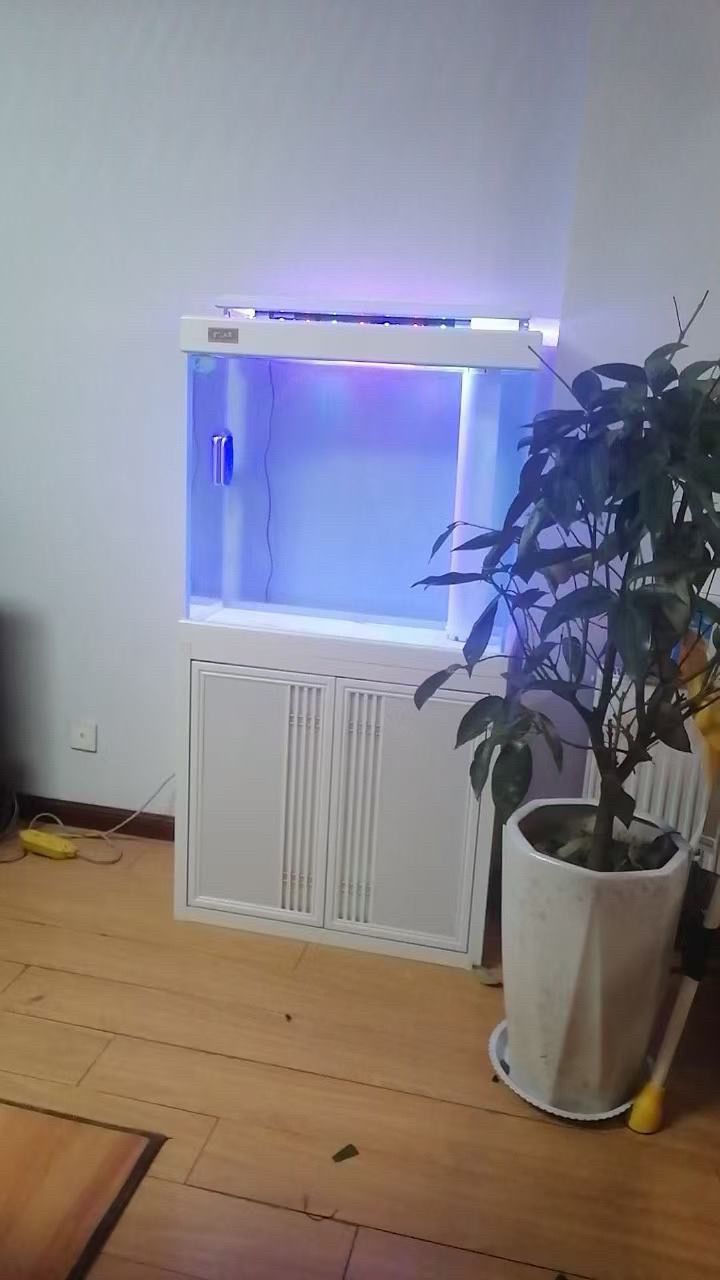 魚缸造景先放沙還是先放水(魚缸造景先鋪沙還是先放石頭) 連云港上門服務清潔 龍魚論壇 連云港上門服務清潔 連云港上門服務清潔 龍魚論壇