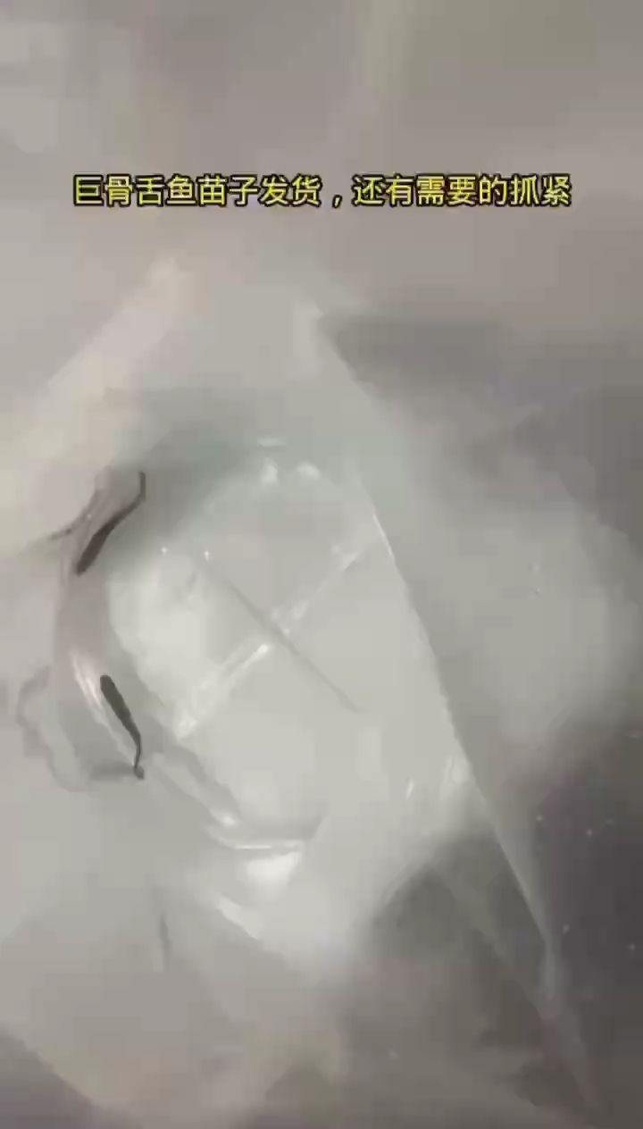 博特3000流量水泵每一檔的流量一樣嗎(博特水泵怎么調流量大小)