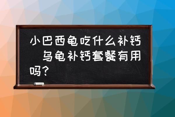 十二生肖中，哪種動物沒有肚子？揭秘背后的文化寓意，十二生肖中唯一沒有肚子的動物是誰？揭秘其獨特文化寓意 十二生肖中，哪種動物沒有肚子？揭秘背后的文化寓意，十二生肖中唯一沒有肚子的動物是誰？揭秘其獨特文化寓意 龍魚百科 第2張