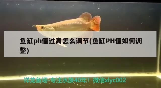 魚缸ph值過高怎么調節(魚缸PH值如何調整)