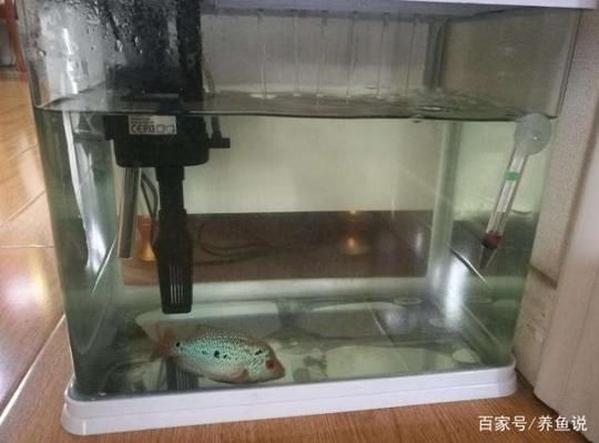 吉印燈能潛水嗎（吉印的燈可以在水里泡著嗎?）