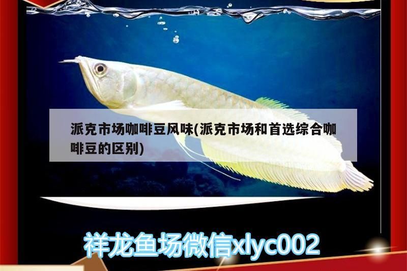 派克市場(chǎng)咖啡豆風(fēng)味(派克市場(chǎng)和首選綜合咖啡豆的區(qū)別)