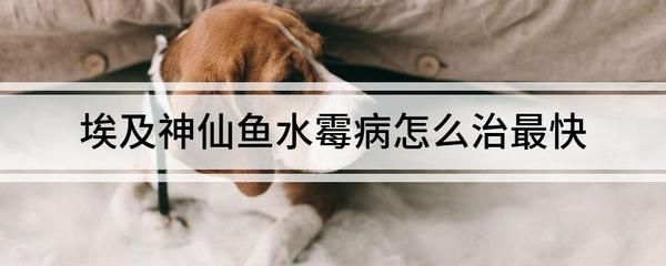 誰有場地我想合作養殖？資源整合開啟共贏養殖新模式，誠尋養殖場地合作，資源整合共創雙贏養殖新機遇