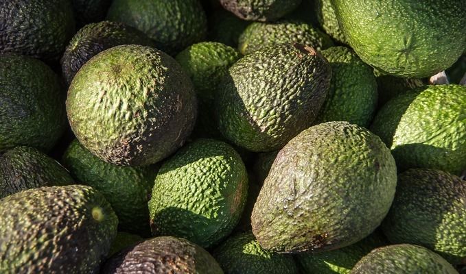 誰說小缸不能養龍魚？打破傳統觀念的小缸養龍秘訣，小缸養龍魚？揭秘打破常規的飼養秘訣