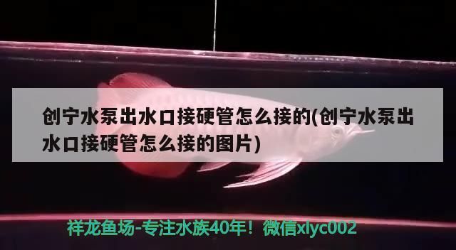 創寧水泵出水口接硬管怎么接的(創寧水泵出水口接硬管怎么接的圖片)