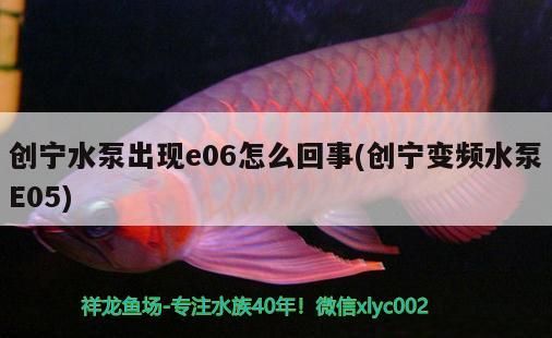 創(chuàng)寧水泵出現(xiàn)e06怎么回事(創(chuàng)寧變頻水泵E05)