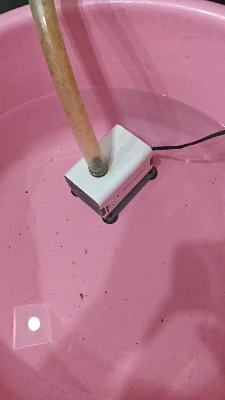 水泵 水泵 龍魚論壇