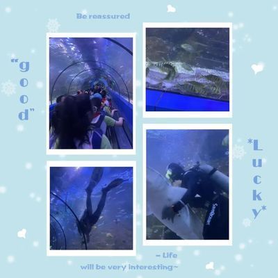 水族館作文600字（《游水族館》作文） 水族館作文600字（《游水族館》作文） 水族館百科（水族館加盟） 第5張