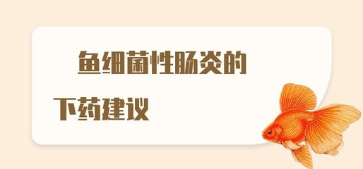 魟魚(yú)下藥不適應(yīng)：魟魚(yú)下藥不適應(yīng)[需手動(dòng)填充]魚(yú)下藥不適應(yīng)