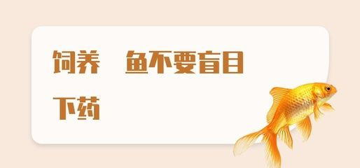 魟魚(yú)下藥不適應(yīng)：魟魚(yú)下藥不適應(yīng)[需手動(dòng)填充]魚(yú)下藥不適應(yīng)