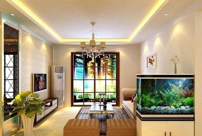 藍色的金龍魚好養嗎（藍色的金龍魚好養嗎圖片）