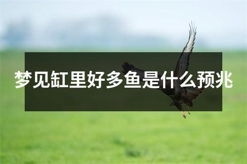 鐵嶺二手魚缸交易市場在哪個位置啊多少錢（鐵嶺二手魚缸交易市場在哪個位置啊多少錢一臺）
