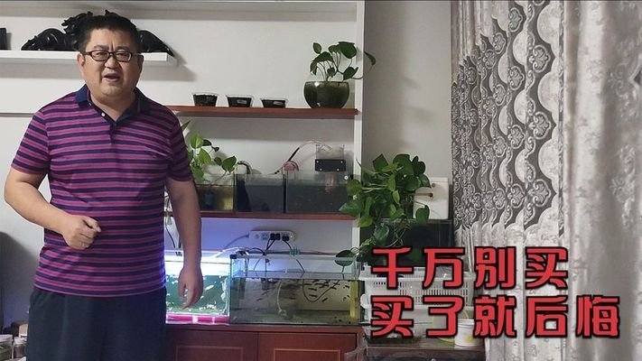 魚缸的增氧泵一天開多久（魚缸的增氧泵一天開多久合適）