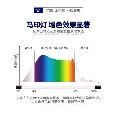 馬印神燈和發色燈的區別在哪：馬印神燈和發色燈有什么區別