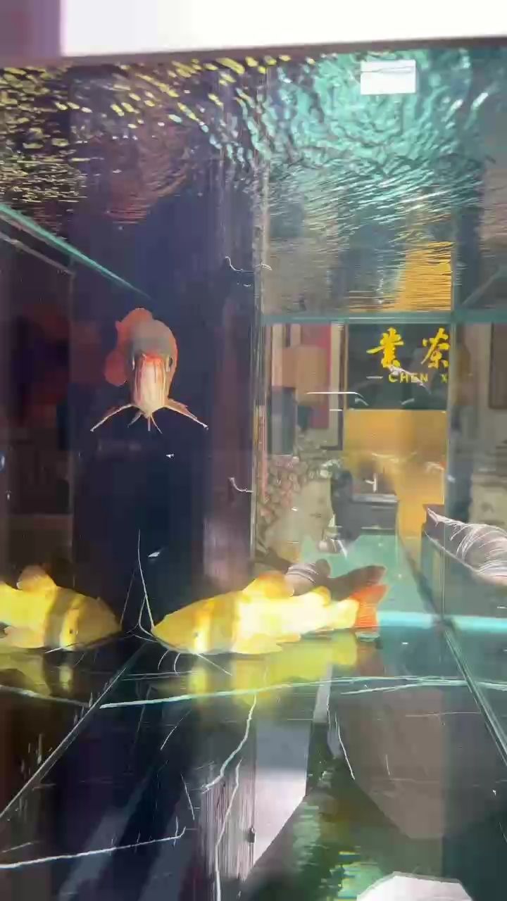 陽光浴
