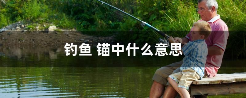 釣魚 錨中什么意思
