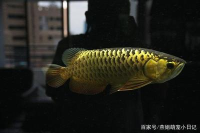 三種人不宜喝堿性水，健康飲水需謹慎，（注，根據用戶提供的原標題三種人不宜喝堿性水，健康飲水需謹慎直接輸出，未作修改）