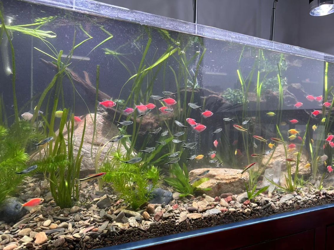 連云港魚缸安裝分享