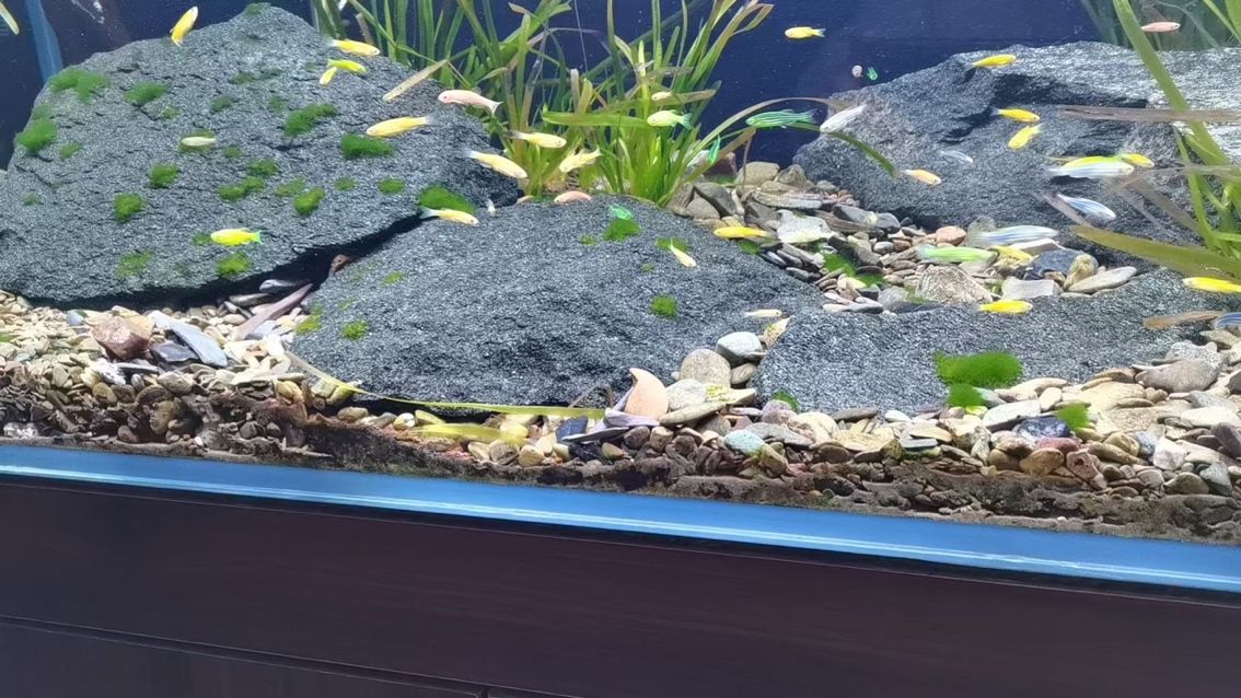 連云港魚缸安裝分享