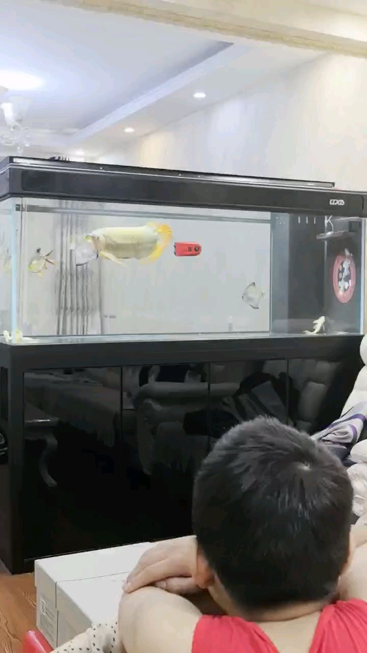 好玩