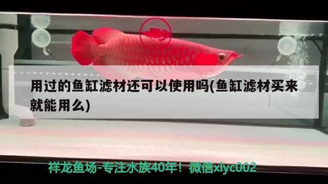 用過的魚缸濾材還可以使用嗎(魚缸濾材買來就能用么)