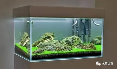 40方魚缸多重：40方魚缸重量取決于魚缸材質(zhì)、玻璃的厚度以及是否裝水