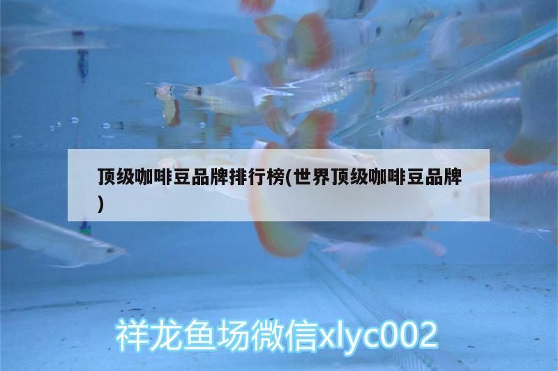 頂級咖啡豆品牌排行榜(世界頂級咖啡豆品牌)