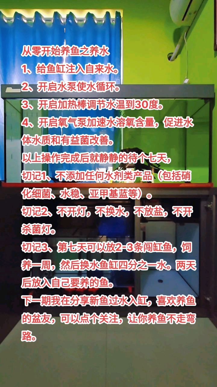 從零開始養魚之養水