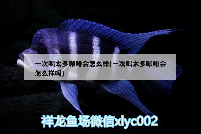一次喝太多咖啡會怎么樣(一次喝太多咖啡會怎么樣嗎)