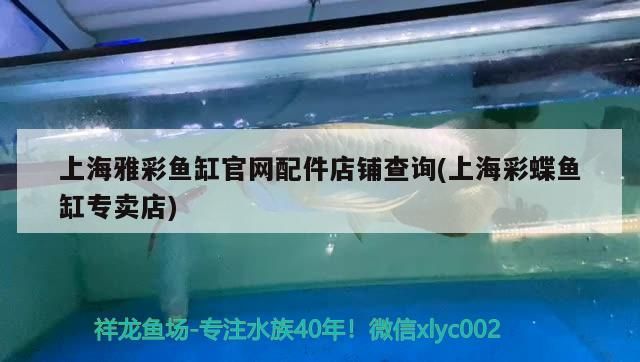 新龍魚趴缸怎么處理干凈視頻（新買的龍魚趴缸是什么原因） 新龍魚趴缸怎么處理干凈視頻（新買的龍魚趴缸是什么原因） 九鼎魚缸