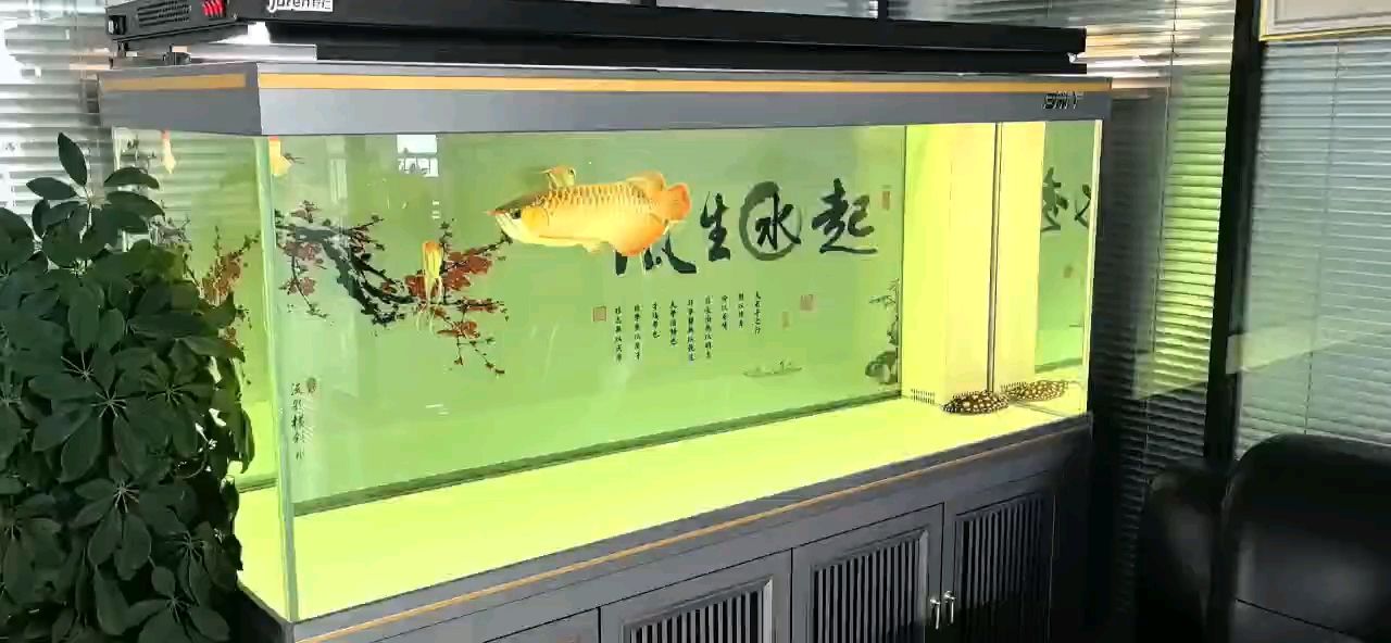 整整一年了