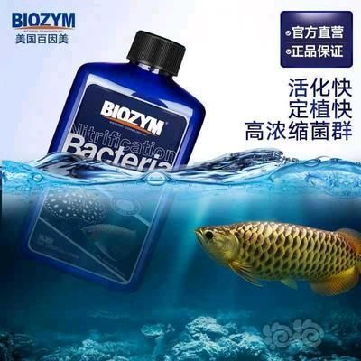 魟魚吃的多嗎有毒嗎能吃嗎：魟魚吃的多嗎有毒嗎 魟魚吃的多嗎有毒嗎能吃嗎：魟魚吃的多嗎有毒嗎 魟魚百科 第3張