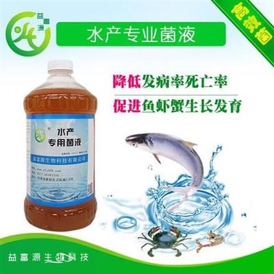 三間魚與龍魚混養(yǎng)，多久才能認主人？深度解析與飼養(yǎng)指南，三間魚與龍魚混養(yǎng)認主時間解析及飼養(yǎng)指南