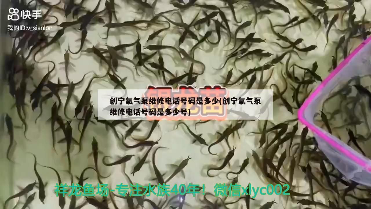 創寧氧氣泵維修電話號碼是多少(創寧氧氣泵維修電話號碼是多少號) 創寧氧氣泵維修電話號碼是多少(創寧氧氣泵維修電話號碼是多少號) 創寧水族