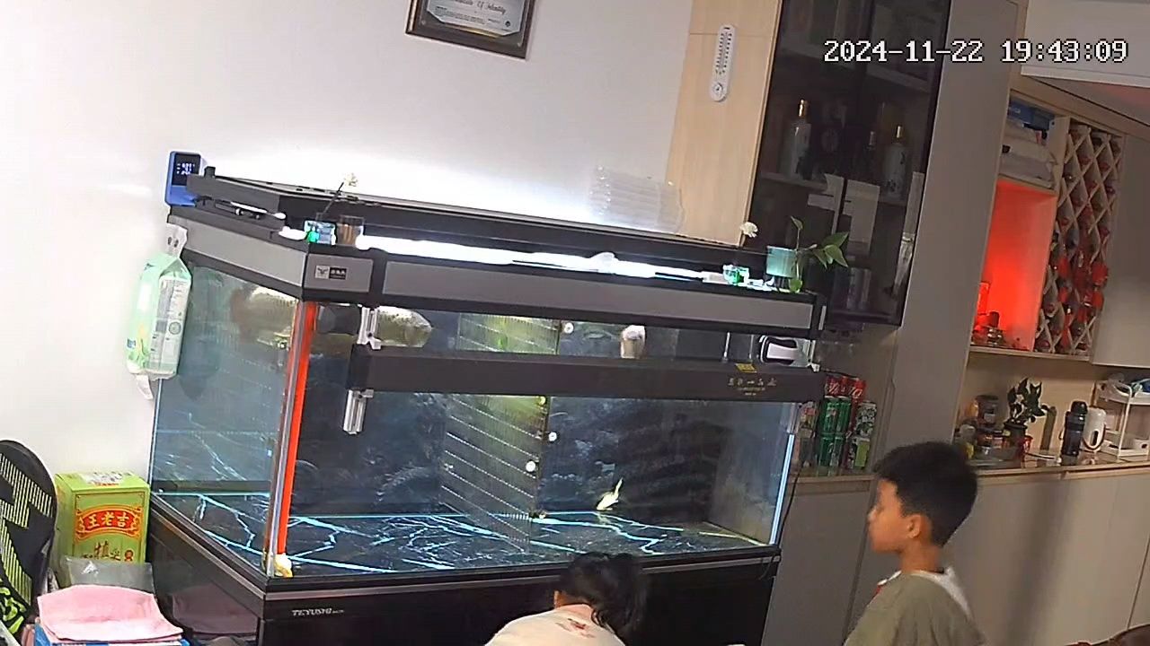 圈選打卡 監控看喂魚