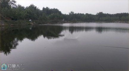 小虎魚苗喂什么好：小虎魚苗喂什么好，