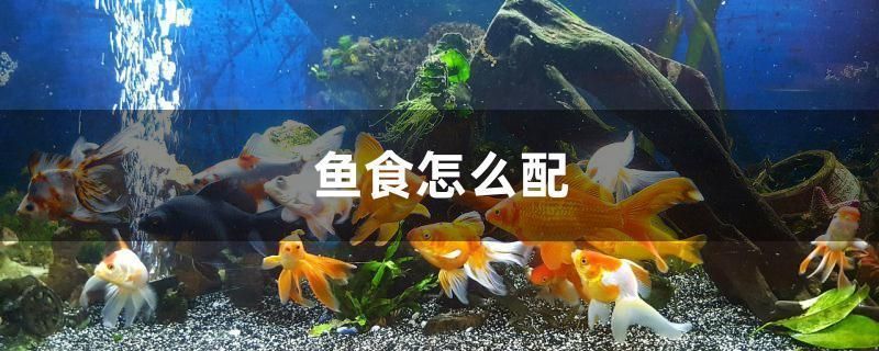 龍魚吃什么?vs祥龍魚場:關于龍魚飲食和祥龍魚場的基本概述 vs祥龍魚場 第5張 龍魚吃什么?vs祥龍魚場:關于龍魚飲食和祥龍魚場的基本概述 龍魚吃什么?vs祥龍魚場:關于龍魚飲食和祥龍魚場的基本概述 vs祥龍魚場 第5張