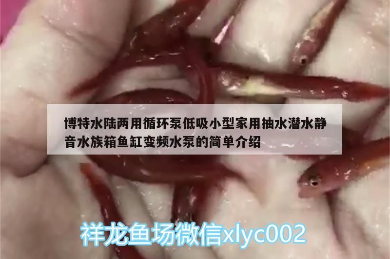 博特水陸兩用循環泵低吸小型家用抽水潛水靜音水族箱魚缸變頻水泵的簡單介紹