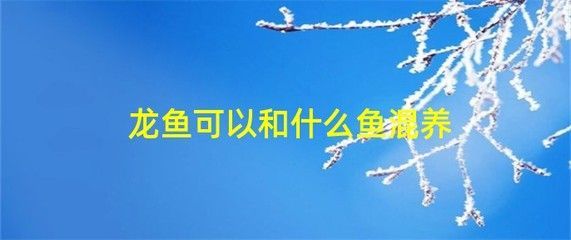 魟魚不吃食不愛游動：您的魟魚可能出現了拒食和缺乏活力的情況，可能是多種因素引起的 魟魚不吃食不愛游動：您的魟魚可能出現了拒食和缺乏活力的情況，可能是多種因素引起的 魟魚百科 第3張