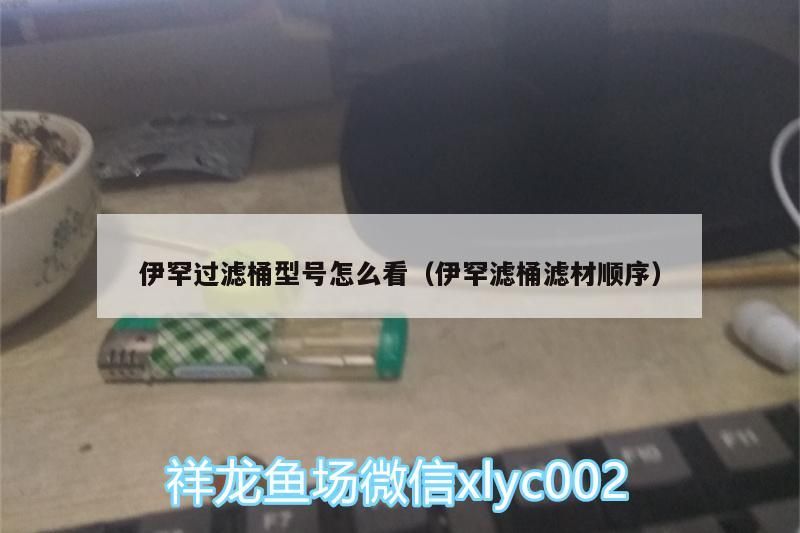 伊罕過濾桶型號怎么看（伊罕濾桶濾材順序）