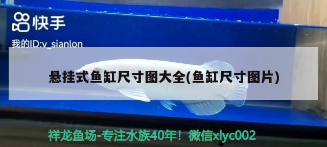 懸掛式魚缸尺寸圖大全(魚缸尺寸圖片)