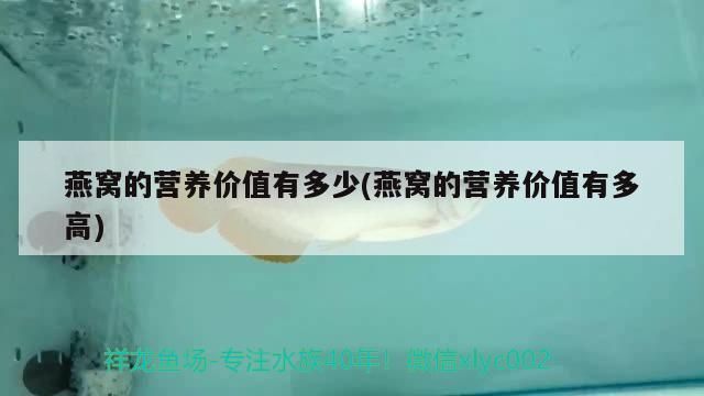 西安龍魚批發(fā)市場在哪個位置（西安龍魚價格） 西安龍魚批發(fā)市場在哪個位置（西安龍魚價格） 可麗愛魚缸 第2張