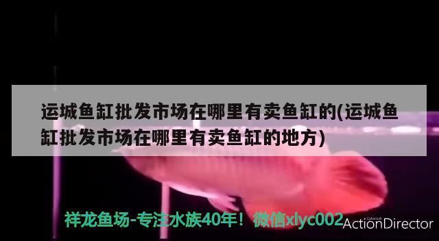 運(yùn)城魚缸批發(fā)市場在哪里有賣魚缸的(運(yùn)城魚缸批發(fā)市場在哪里有賣魚缸的地方)