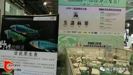 2024年廣州水族用品展會時間表圖片：2024年廣東水上運動用品展會時間表2024廣東水展