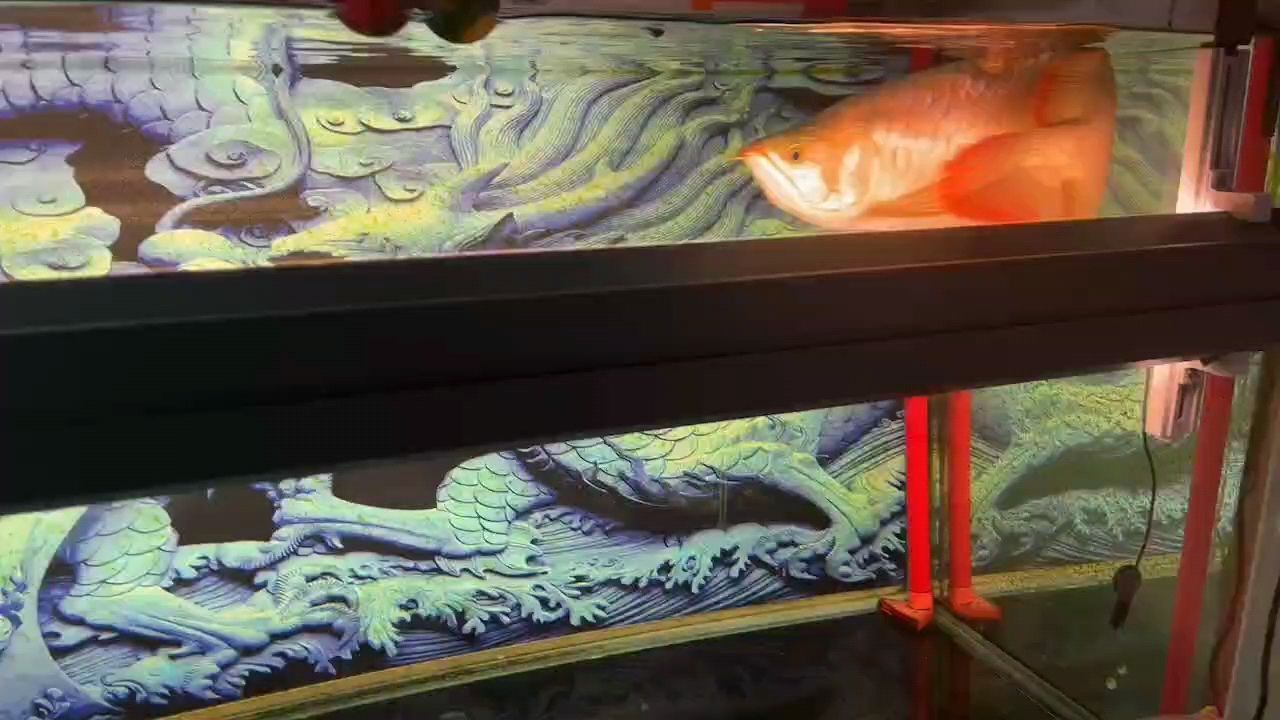 上側燈了