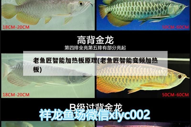 老魚匠智能加熱板原理(老魚匠智能變頻加熱板) 老魚匠智能加熱板原理(老魚匠智能變頻加熱板) 老魚匠