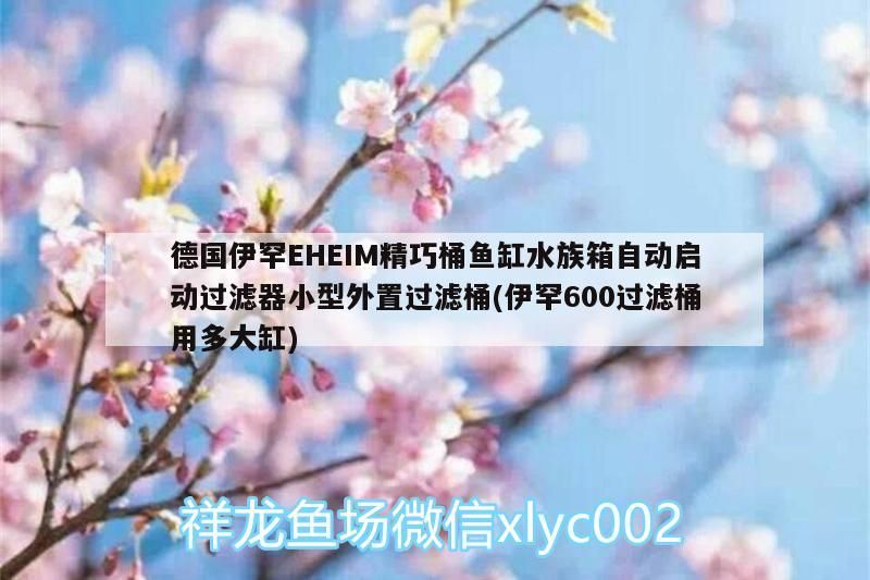德國(guó)伊罕EHEIM精巧桶魚(yú)缸水族箱自動(dòng)啟動(dòng)過(guò)濾器小型外置過(guò)濾桶(伊罕600過(guò)濾桶用多大缸)